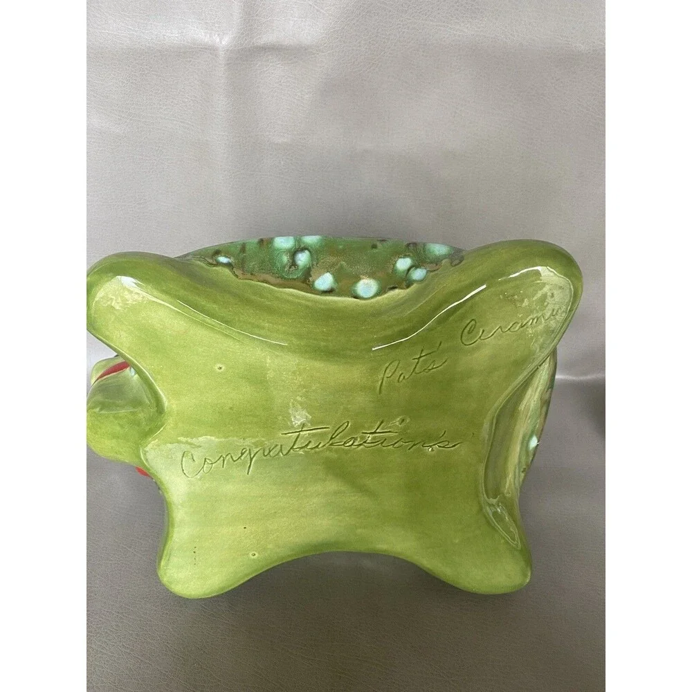 Vintage Ceramic Cookie Jar Tortoise Green Red Scarf Signed